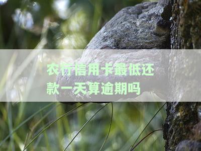 农行信用卡全额还款最低还款额是多少？