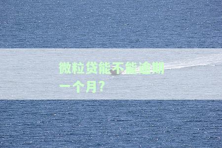 微粒贷能不能逾期一个月?