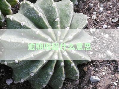 逾清收超是什么意思扣款？详解逾期、清收和超额扣款的含义及解决方案