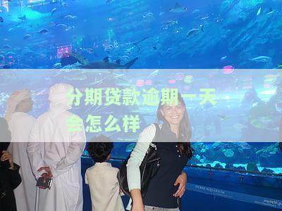 分期贷款逾期一天有何影响？是否上征信？应如何处理？