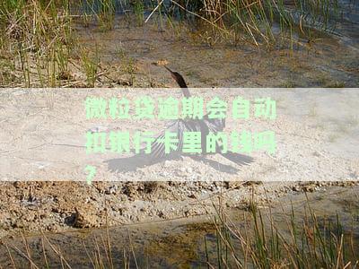 微粒贷逾期是否会自动从余额扣款？包括零钱和微信账户