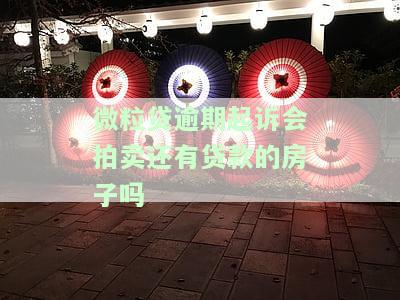 微粒贷逾期被起诉：法院已立案，该如何应对诉讼流程？