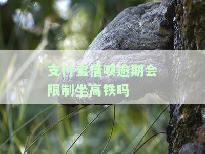 借呗逾期还能坐火车飞机吗？逾期多久会影响航班？