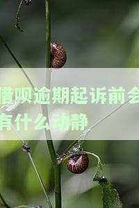 借呗逾期起诉后处理方法：立案标准及是否会坐牢？
