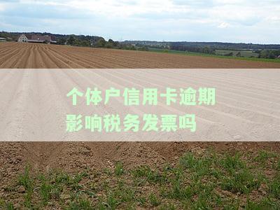 个体户信用卡逾期是否会影响税务发票开具？详解