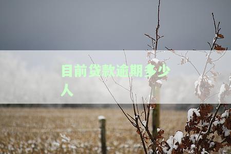目前贷款逾期多少人-目前贷款逾期多少人会被起诉
