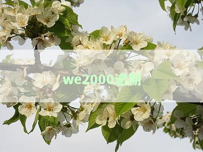 如何协商解决We2000逾期问题？包括本金和还款的协商步骤