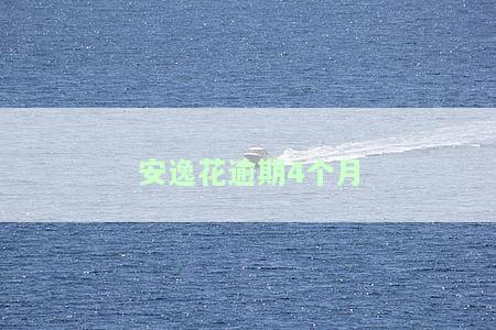 安逸花逾期4个月