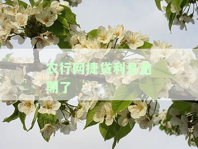 农行网捷贷逾期2天后还清能否继续贷款？影响及解决办法