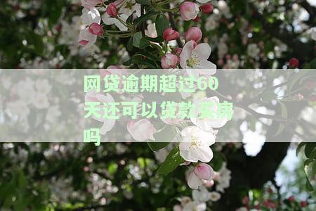 网贷逾期超过60天：后果、处理方式及可能的处罚
