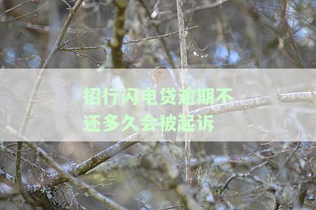 招行闪电贷逾期几天需全款偿还？逾期后果及解决办法