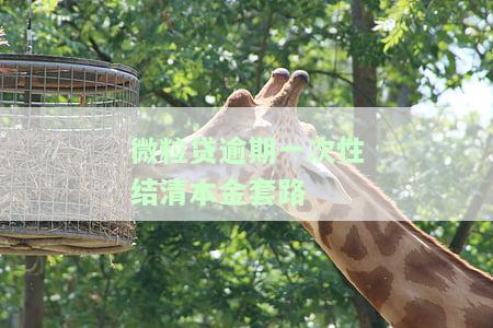 微粒贷逾期一次性结算后是否可以再次借款？安全性如何？已结清能否重新申请？