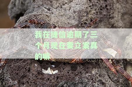 捷信逾期三个月要求一次性还款？解决方案在此！