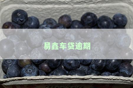 易鑫车贷逾期一天上征信？影响大吗？逾期多久会记录在信用报告中？晚还一天的后果是什么？逾期一个月需一次性付清尾款，如何处理？