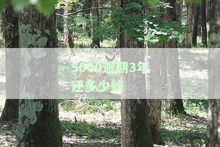 5000逾期2年要还多少？利息计算方法及总金额解析
