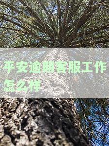 平安逾期处理电话：一站式解决您的逾期问题