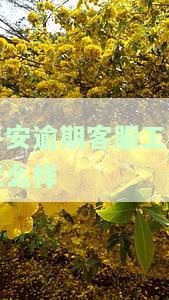 平安银行逾期6天客服称不算逾期，逾期15天将通知家人，那么平安银行逾期多久会打紧急联系人电话？