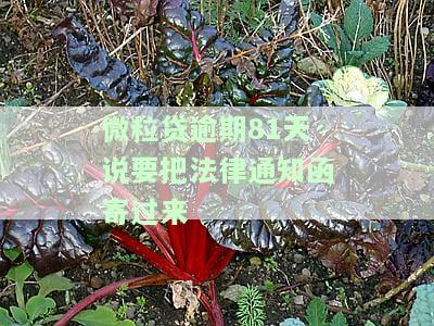 微粒贷逾期81天收到法律通知函，会被告上法庭吗？如何应对？