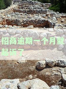 招商如何协商60期还款：技巧、电话及招联金融期还款方案全解析