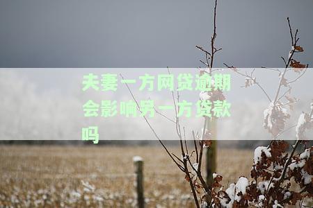 夫妻一方网贷逾期是否会影响另一方贷款？配偶征信会查吗？解决方案是什么？
