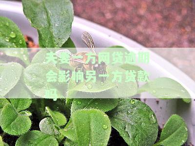 夫妻一方网贷逾期会影响另一方贷款吗-夫妻一方网贷逾期会影响另一方贷款吗?