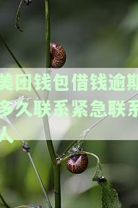 美团借钱逾期多久会打电话给紧急联系人？是真的吗？安全吗？逾期几天会打联系人电话？