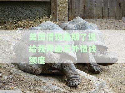 美团借钱逾期，能否开通新额度？催收上门，是否必须全结清？申请临时额度真实吗？