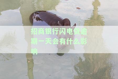 招商银行闪电贷逾期到账秒扣解决方案：逾期多久会全额还款？晚还一天有影响吗？