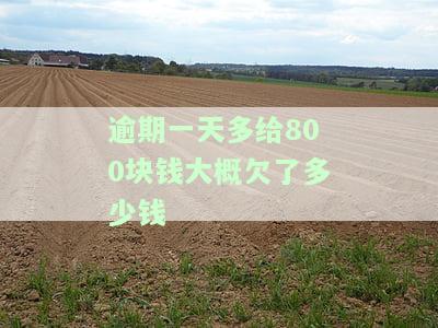 2000块逾期一天的费用：80块、20块、被扣多少？逾期一天200元合法吗？逾期2000元一天利息多少？