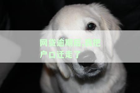 网贷逾期后我把户口迁走了：有何影响及应对措？