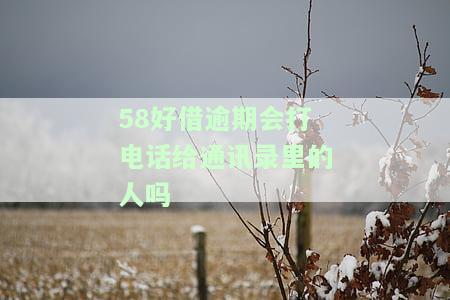 58好借逾期2天说要上门，真的会上吗？逾期1天会有紧急联系人电话吗？能否与客服沟通取消逾期记录？