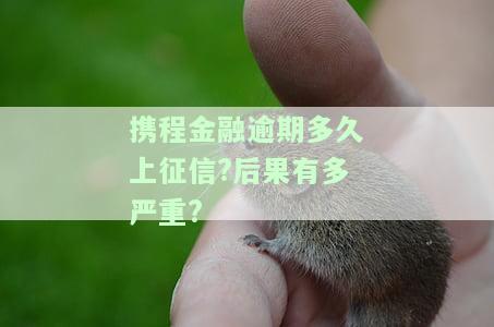 携程金融逾期多久会上征信？严重后果是什么？知乎用户分享经验：逾期一年是否还能继续借款？逾期一天后能否再借？