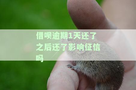 借呗逾期1天还清后能否再次借款？影响信用吗？