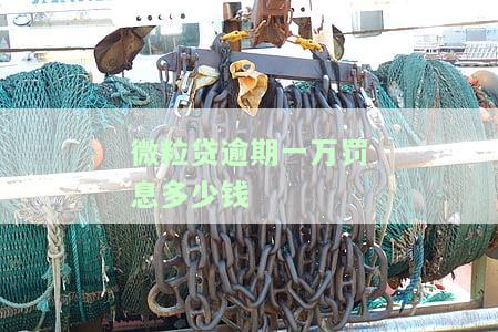 微粒贷逾期一万多会怎样？后果、处理方式及法律风险全解析
