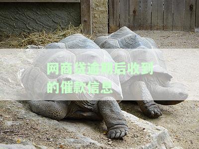 网商贷逾期后收到的催款信息-网商贷逾期收到短函是真是假
