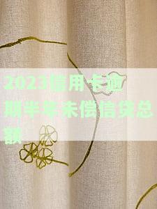2023信用卡逾期半年未偿信贷总额：最新政策与金额解析