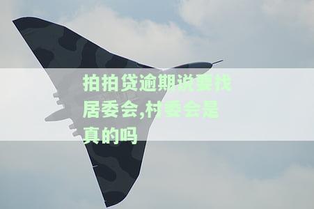 拍拍贷说到居委会真的吗？安全性、可信度及实际操作全解析
