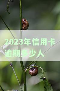 2023年信用卡逾期多少人会上征信？了解最新规定