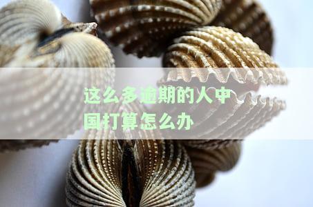 中国有多少逾期未还贷款的人？金额达到多少会立案调查？