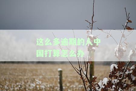 中国现在逾期率及人数情况：最新数据与趋势分析