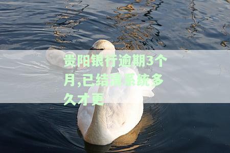 贵阳银行还款期限：具体天数、宽限期及还款日全解