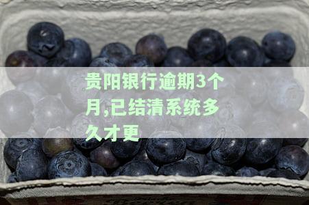 贵阳银行中报披露：逾期贷款达129亿元，如何应对?