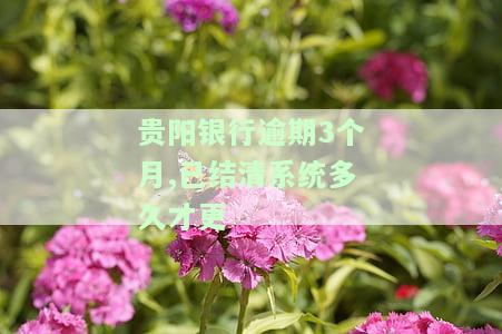 贵阳银行还款计划：如何在网上打印及格式说明