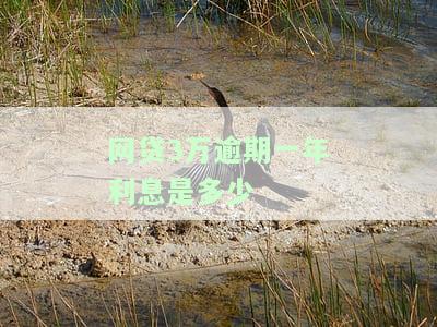 网贷3万逾期一年利息是多少-网贷3万逾期一年利息是多少钱