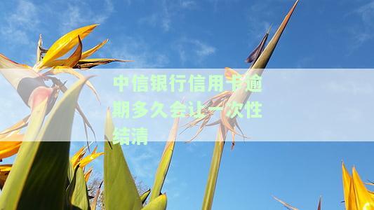 中信信用卡逾期：多久会被起诉？能否协商解决？