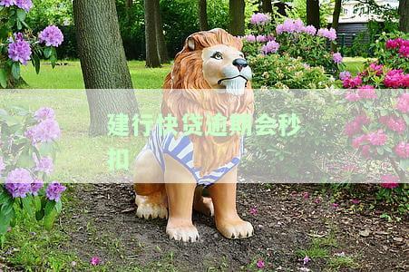 建行快贷逾期秒扣名下建行卡解决方案