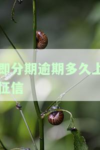 即分期超g会员不还款后果：无法取消贷款，可能属高利贷，合法性待查