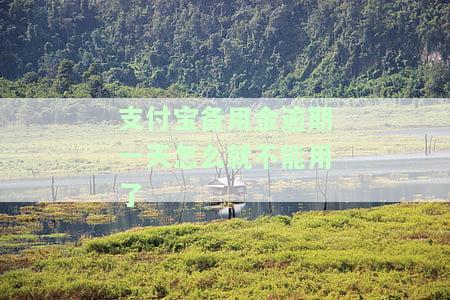 支付宝备用金逾期一天无法使用，如何解决？