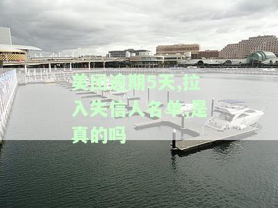 美团逾期5天会被拉入失信人名单吗？