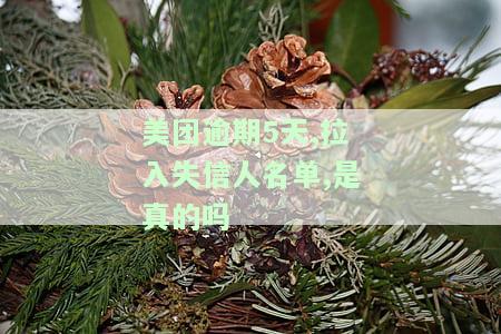 美团欠款逾期已久，您将列入失信人名单，真的吗？